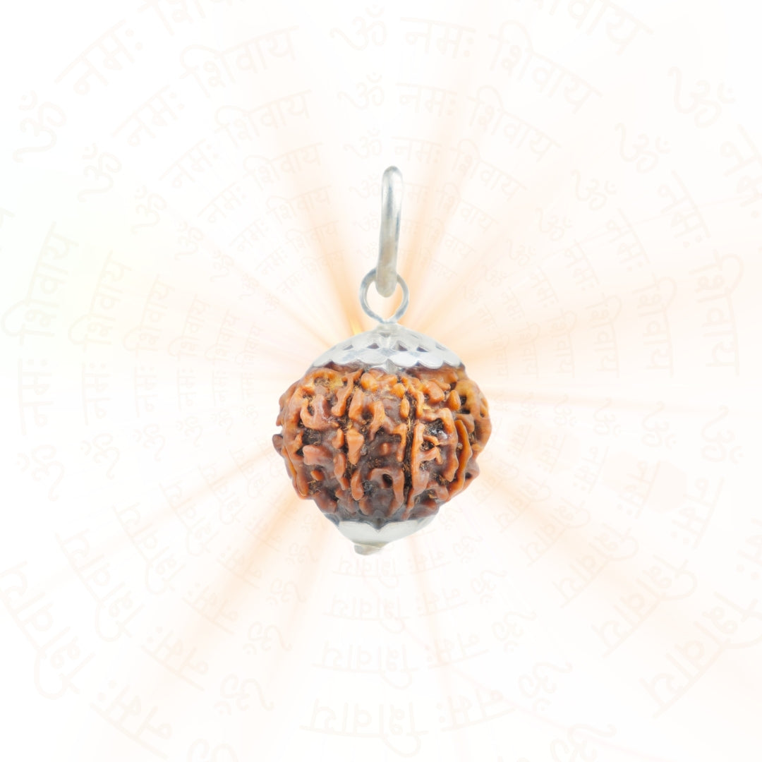 Silver Capping 11 Mukhi Rudraksha Pendant With Chain ( Nepali )