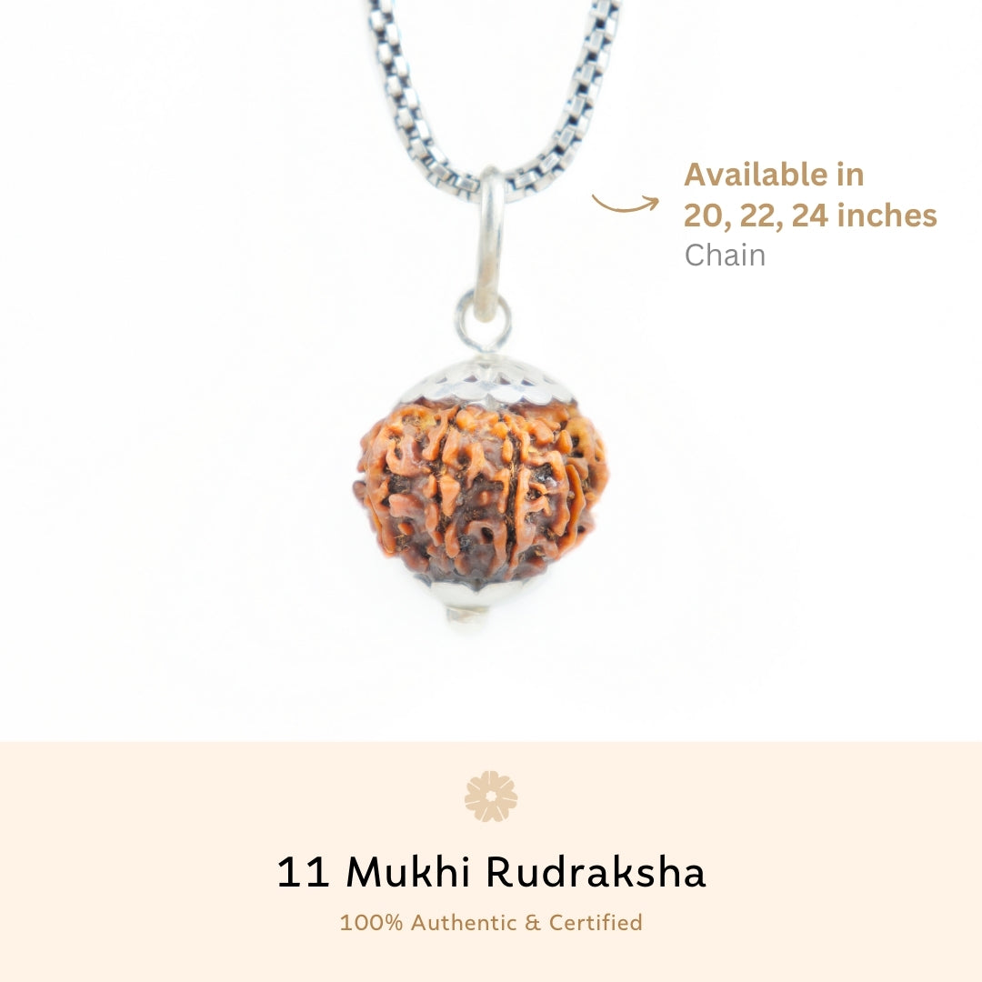 Silver Capping 11 Mukhi Rudraksha Pendant With Chain ( Nepali )