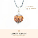 Organic Silver Capping 11 Mukhi Rudraksha Pendant With Chain 