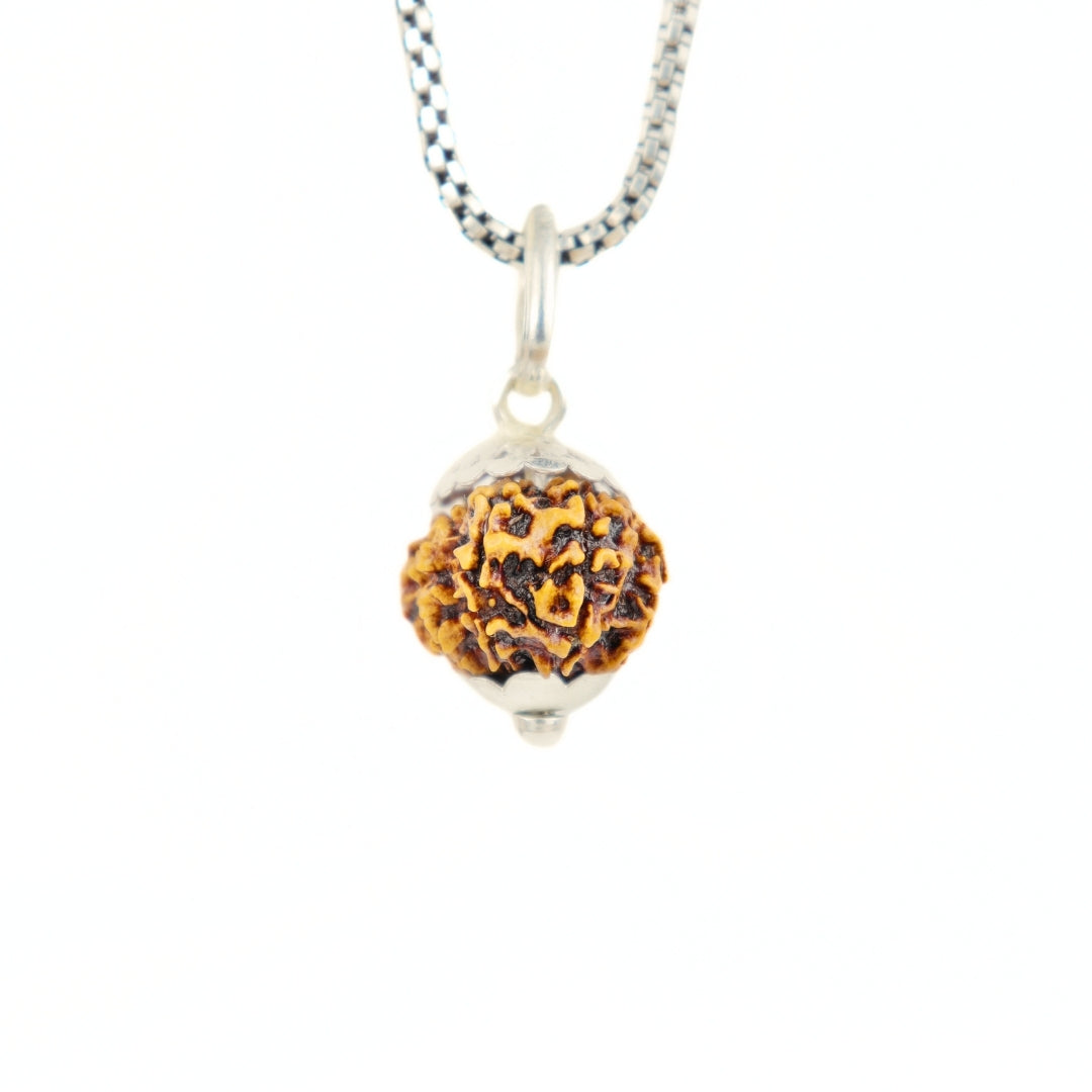 Silver Capping 12 Mukhi Rudraksha Pendant With Chain