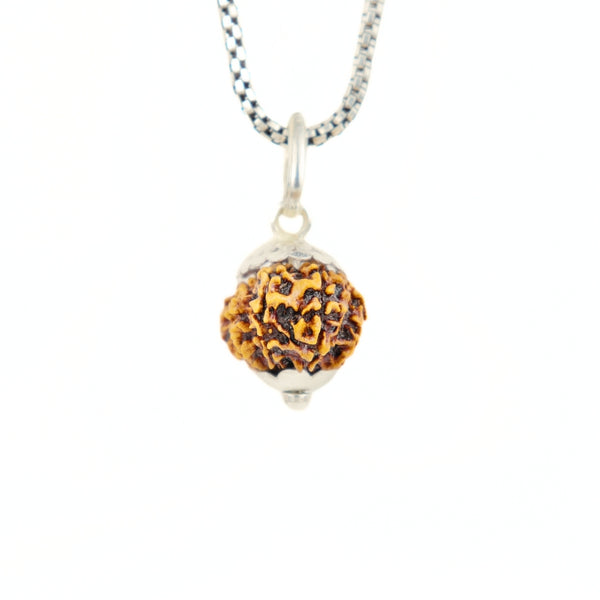 12 Mukhi Rudraksha Silver Capping Pendant ( Nepali )