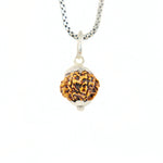 Silver Capping 12 Mukhi Rudraksha Pendant With Chain