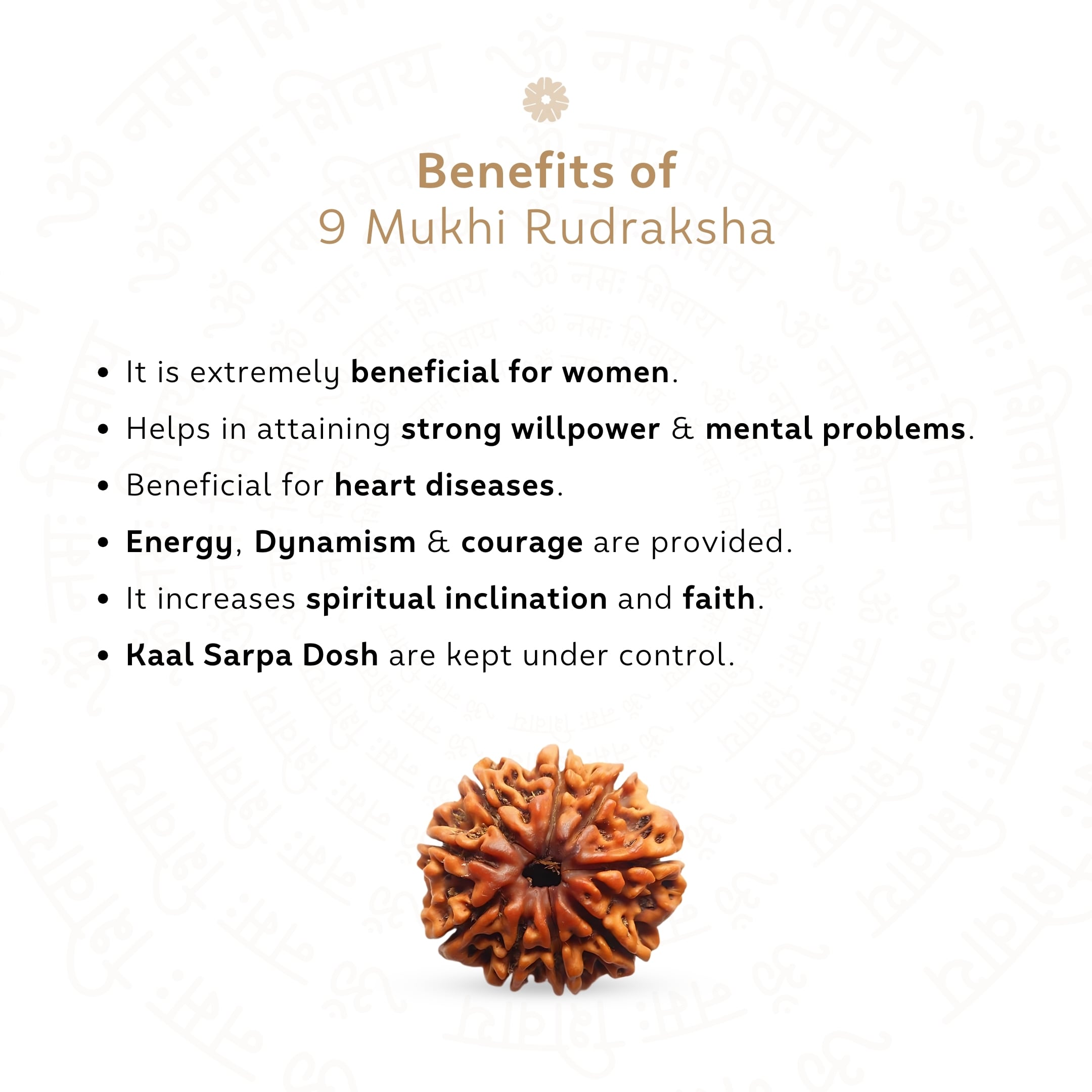 Benefits of 9 Mukhi Rudraksha