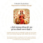 9 Mukhi Rudraksha Story