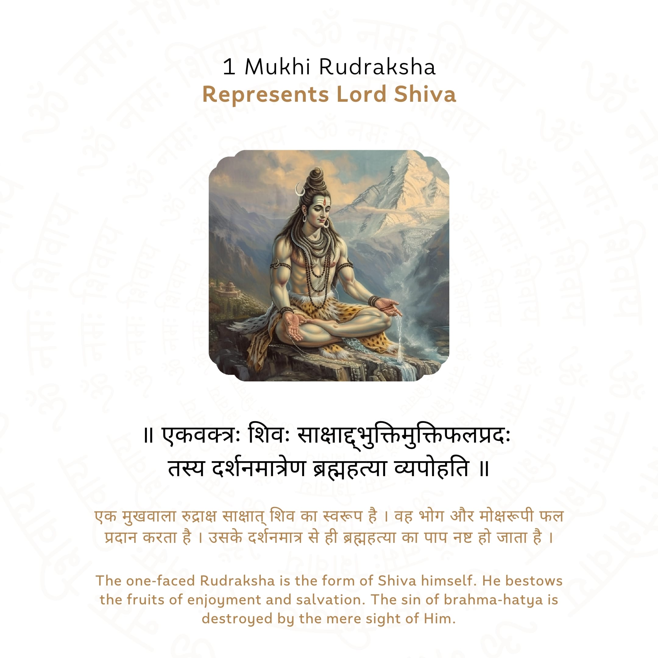 1 Mukhi Rudraksha Story