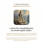 1 Mukhi Rudraksha Story