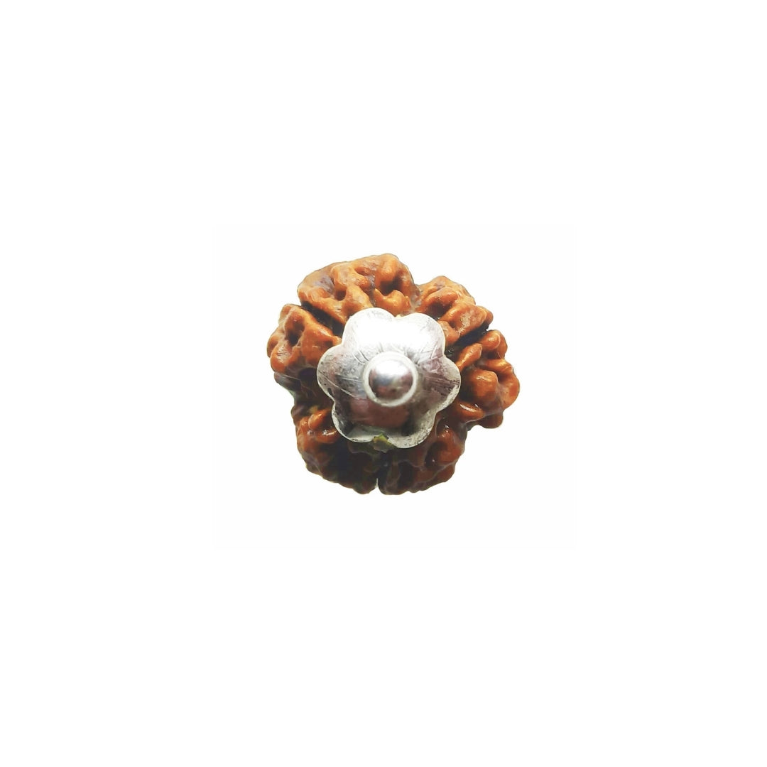 Silver Capping 3 Mukhi Rudraksha Pendant With Chain  ( Nepali )