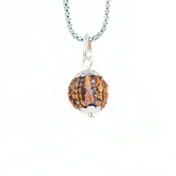 Ganesh Mukhi Rudraksha Silver Capping Pendant ( Nepali )