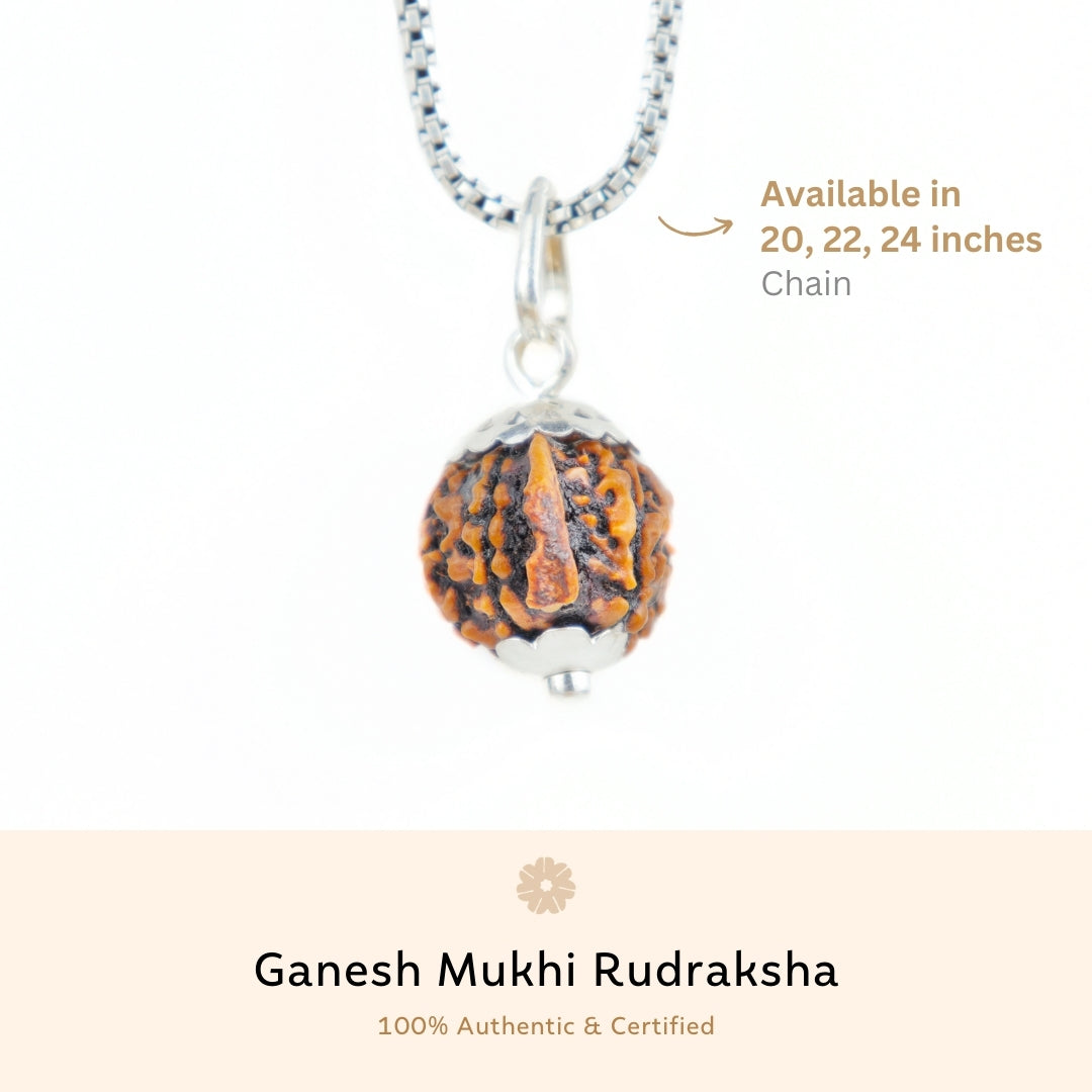 Orignal Silver Capping Ganesh Mukhi Rudraksha Pendant With Chain