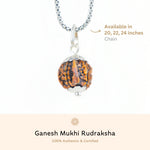 Orignal Silver Capping Ganesh Mukhi Rudraksha Pendant With Chain