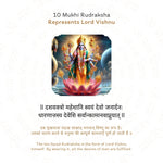 10 Mukhi Rudraksha Story