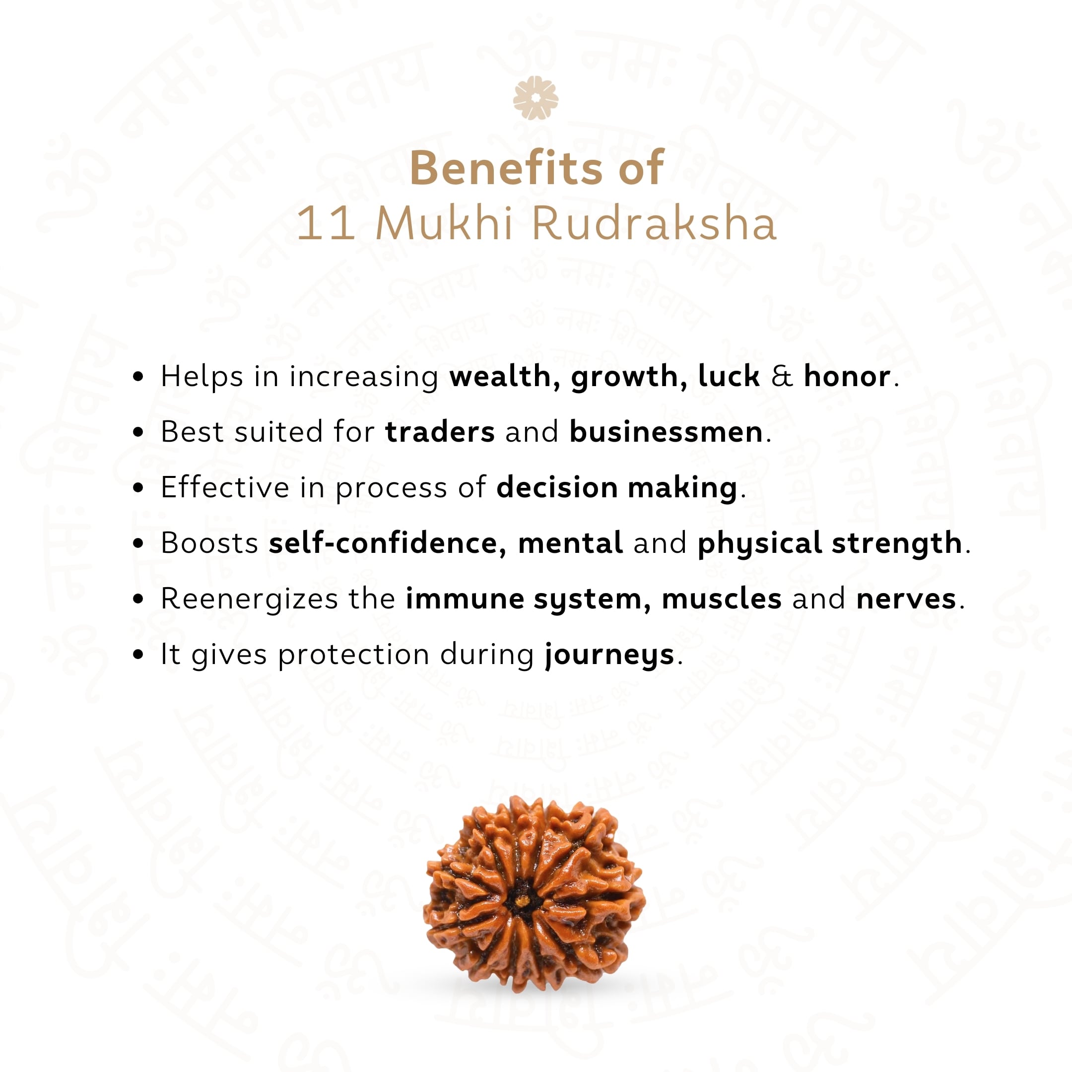 Benefits of 11 Mukhi Rudraksha