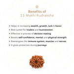 Benefits of 11 Mukhi Rudraksha