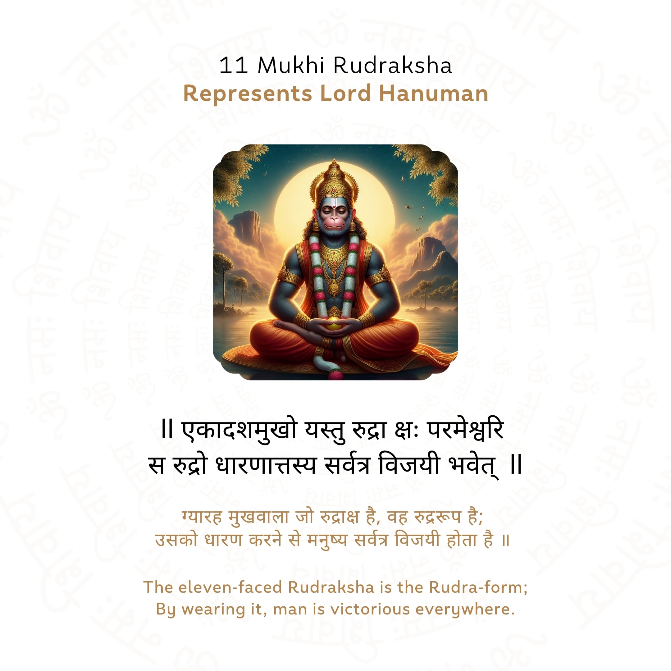 11 Mukhi Rudraksha Story