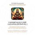 11 Mukhi Rudraksha Story