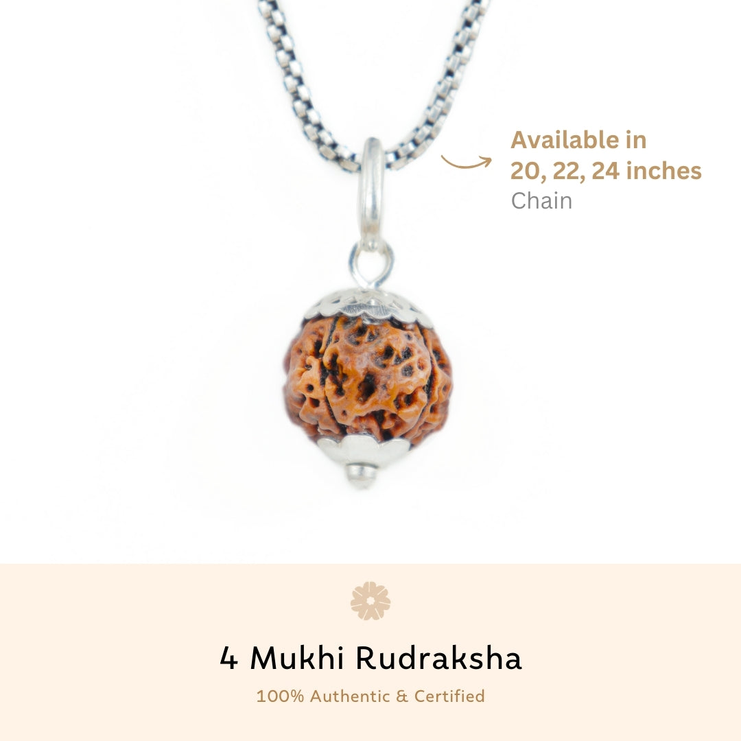 Orignal Silver Capping 4 Mukhi Rudraksha Pendant With Chain