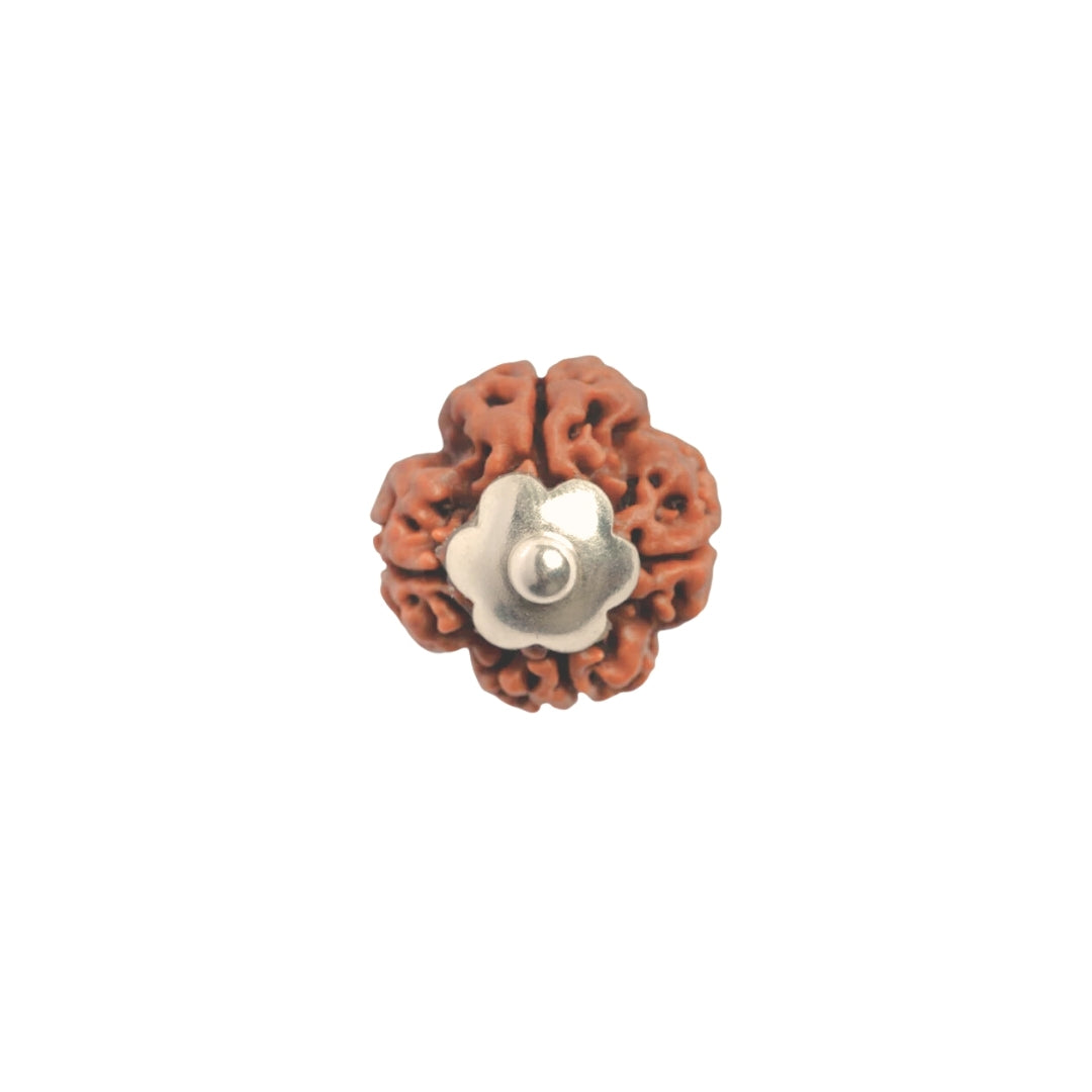 Silver Capping 4 Mukhi Rudraksha Pendant With Chain  ( Nepali )