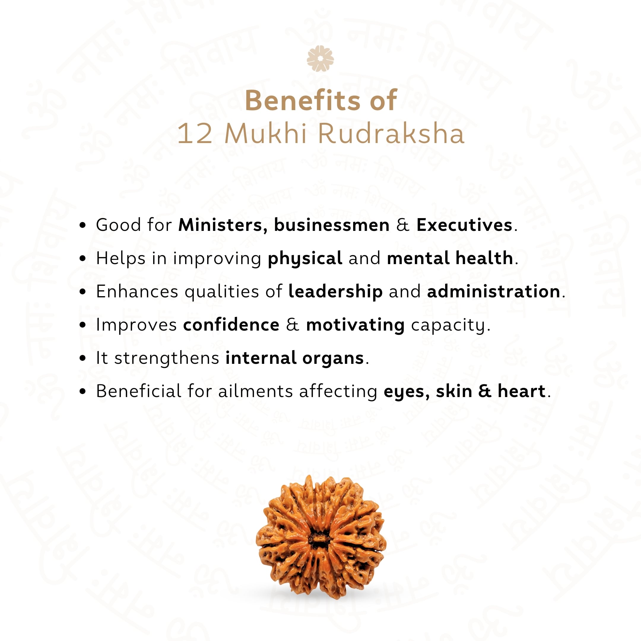 Benefits of 12 Mukhi Rudraksha