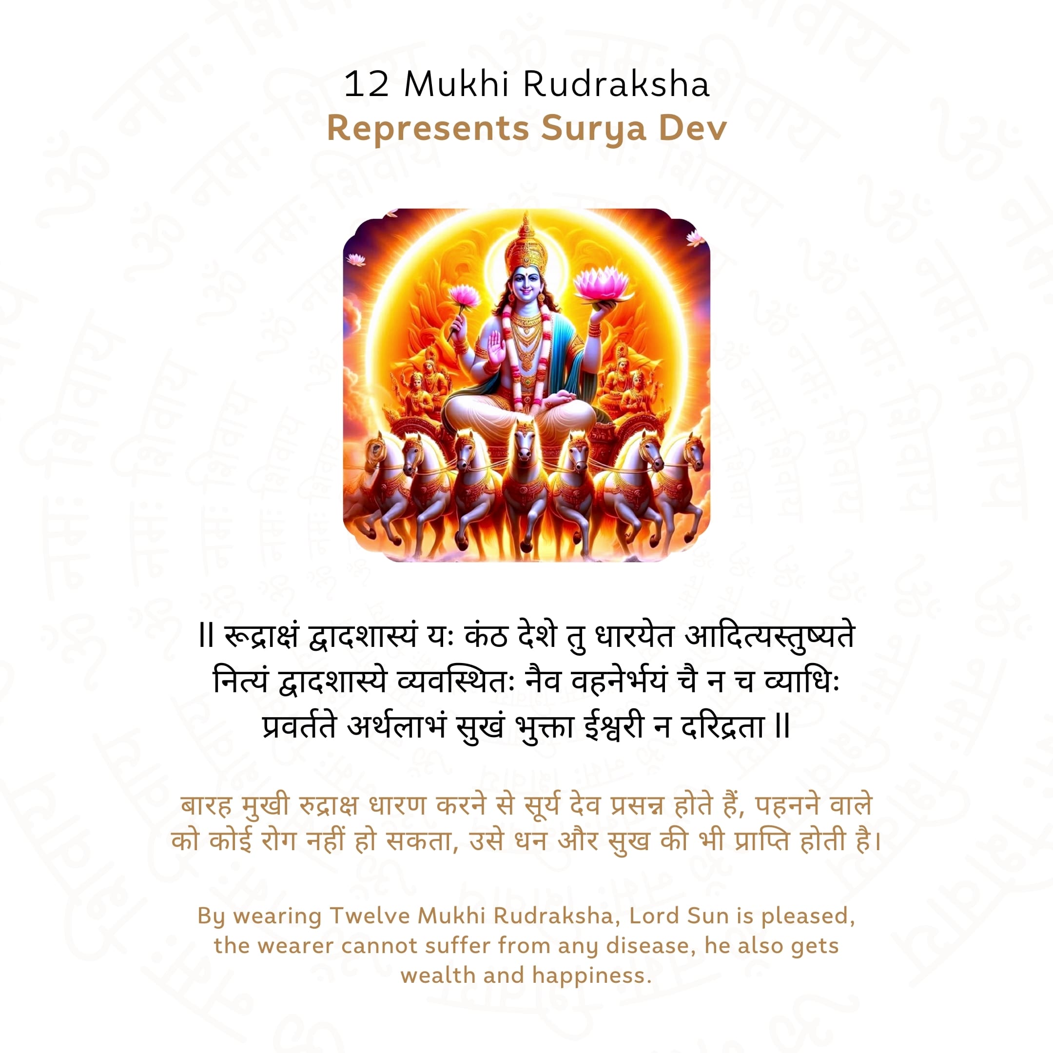 12 Mukhi Rudraksha Story