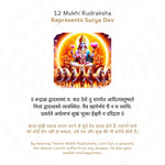 12 Mukhi Rudraksha Story