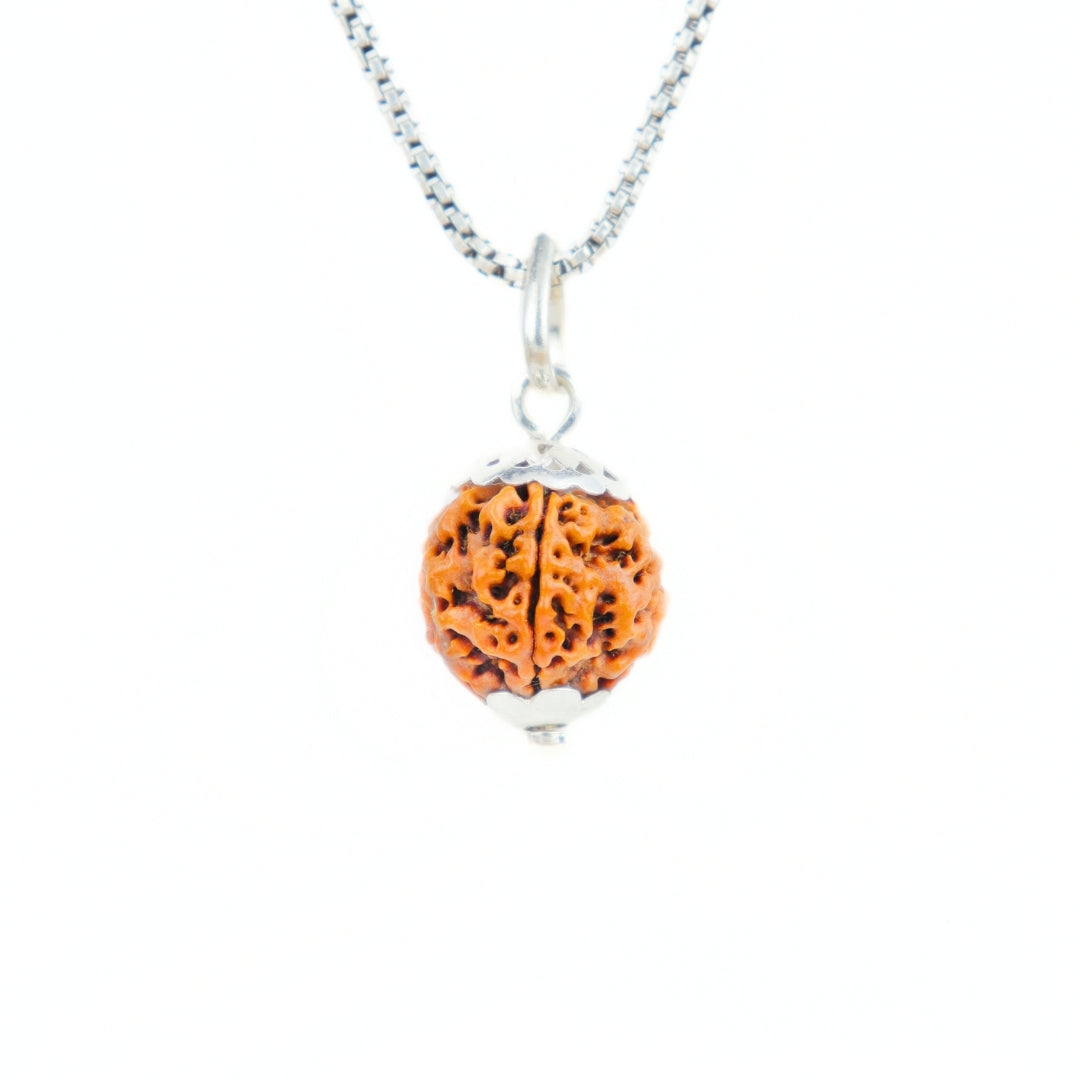 Silver Capping 5 Mukhi Rudraksha Pendant With Chain