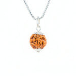 Silver Capping 5 Mukhi Rudraksha Pendant With Chain