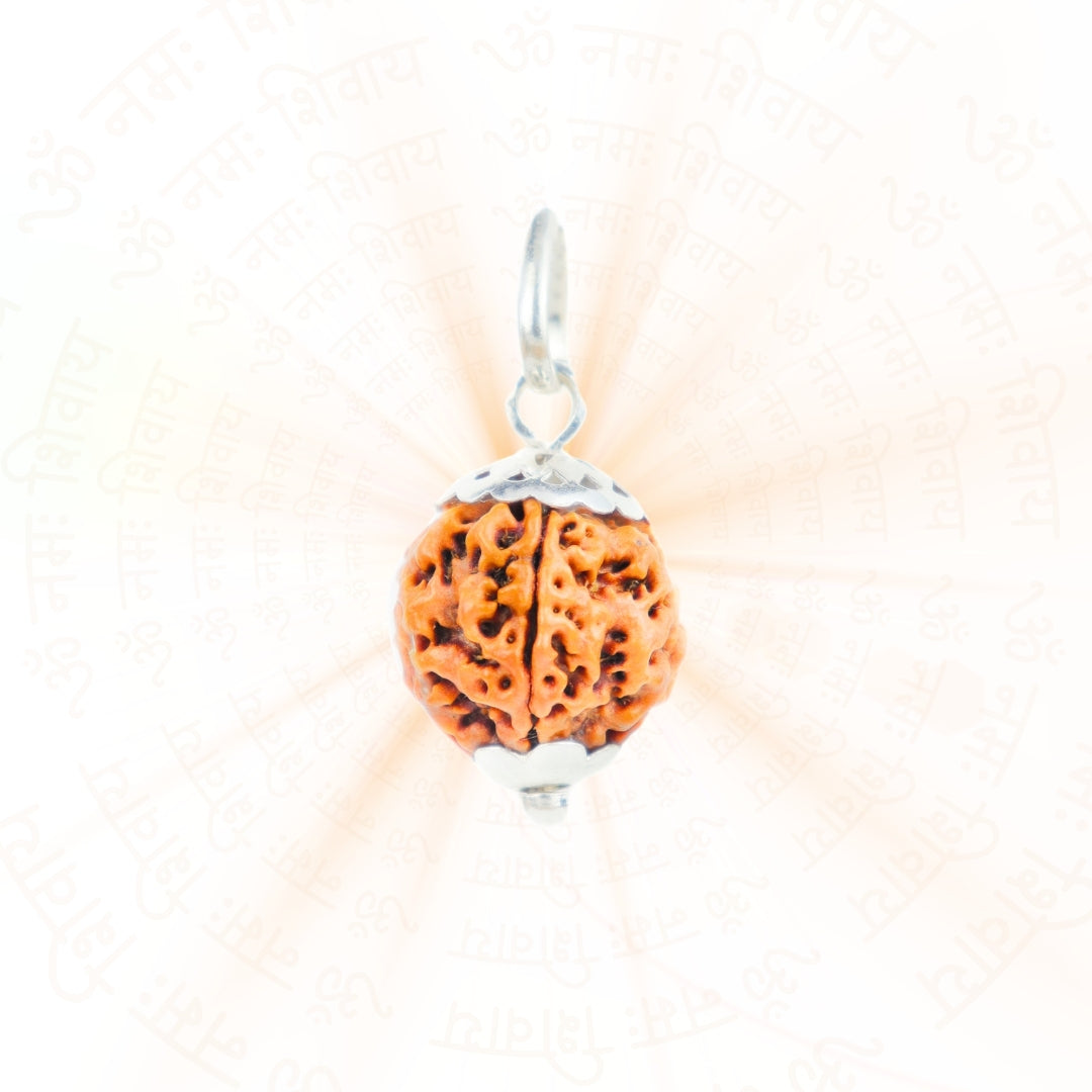 Silver Capping 5 Mukhi Rudraksha Pendant With Chain  ( Nepali )