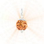 Authentic Silver Capping 5 Mukhi Rudraksha Pendant With Chain