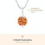 Orignal Silver Capping 5 Mukhi Rudraksha Pendant With Chain