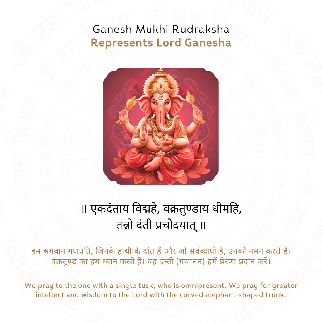Ganesh 5 Mukhi Rudraksha