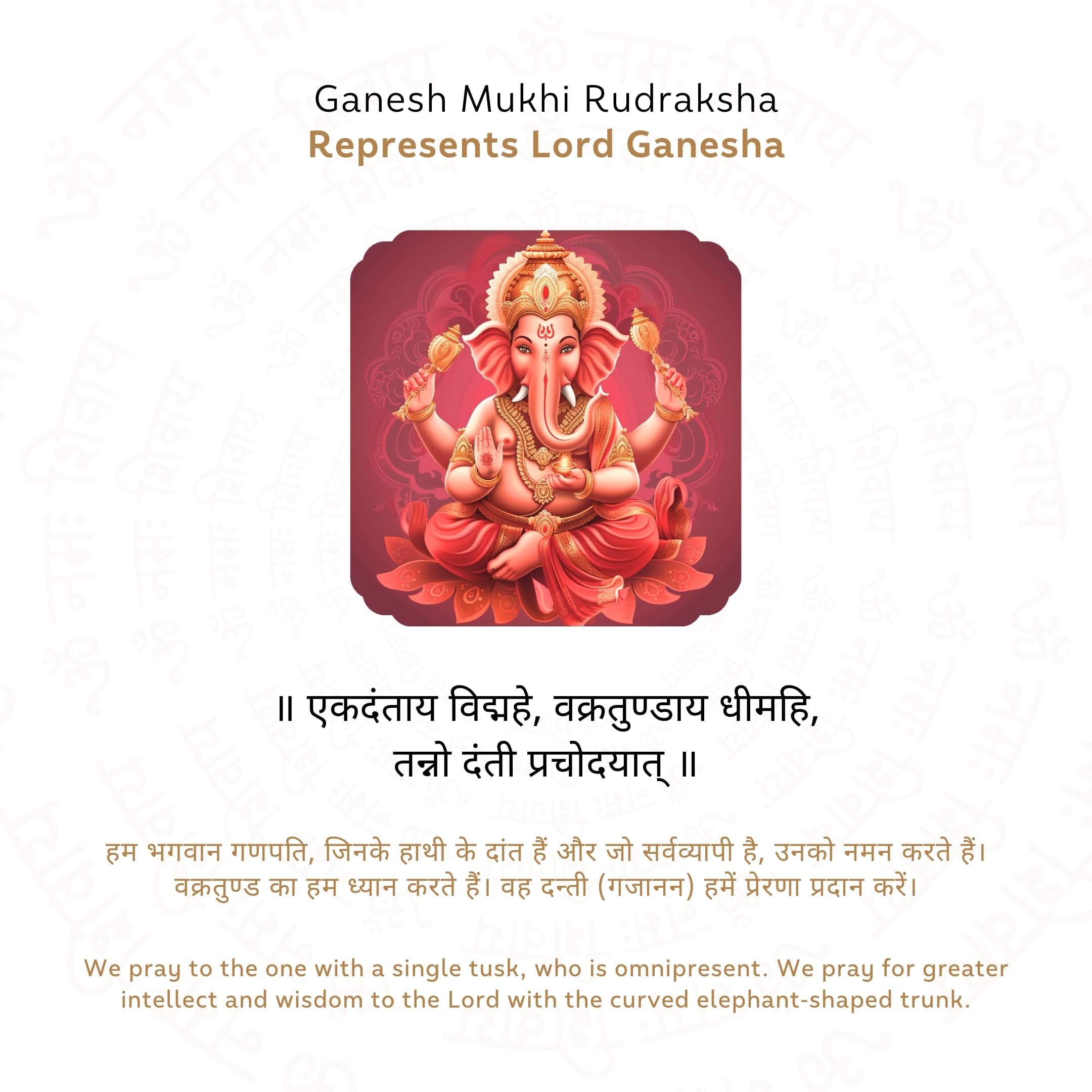 Ganesh 6 Mukhi Rudraksha Story