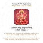 Ganesh 6 Mukhi Rudraksha Story
