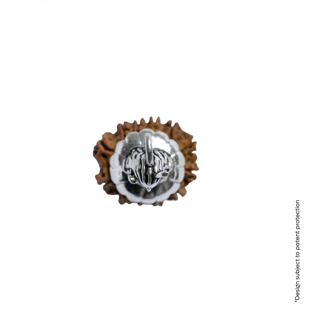 Silver Rudraksha