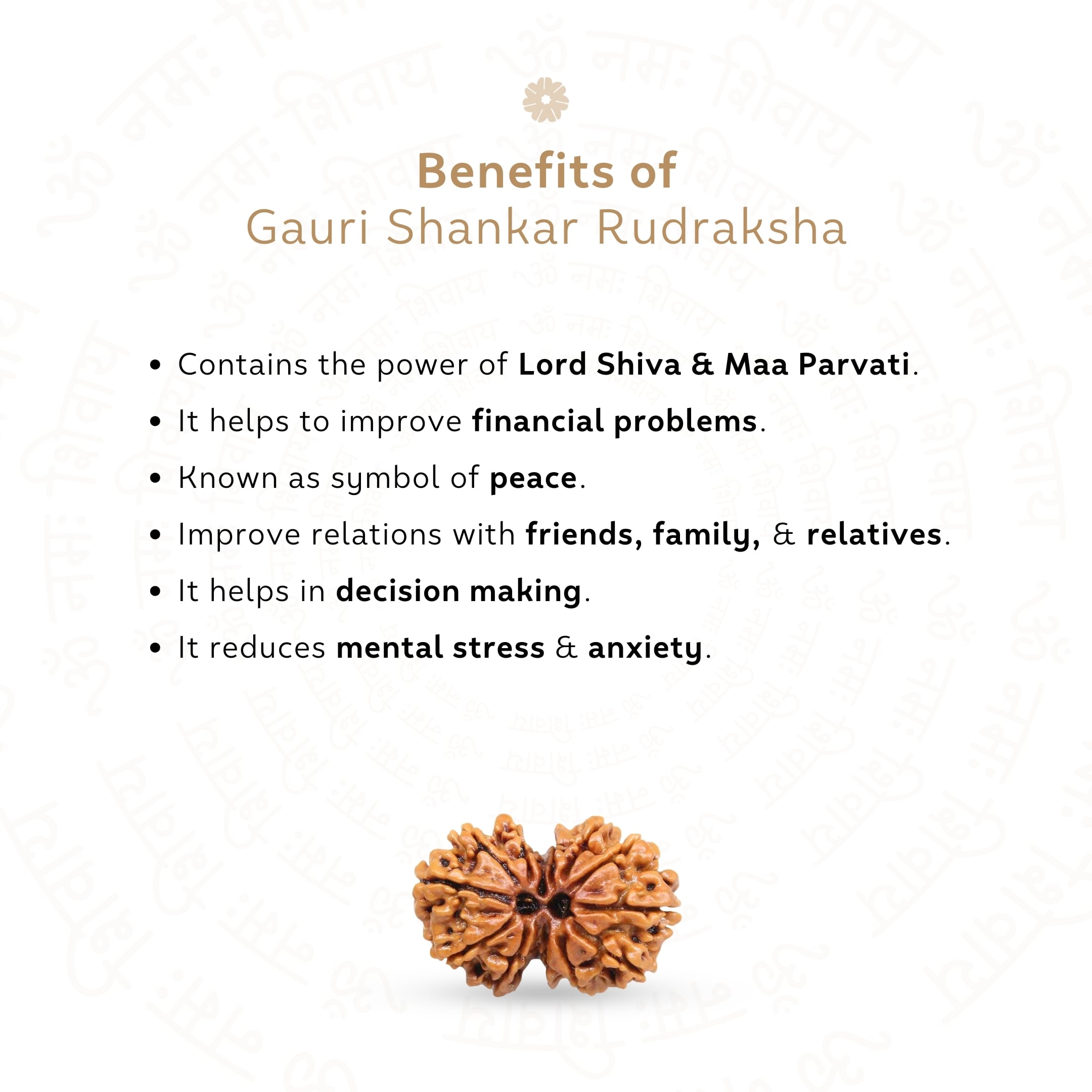 Benefits of Gauri Shankar Rudraksha