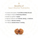 Benefits of Gauri Shankar Rudraksha