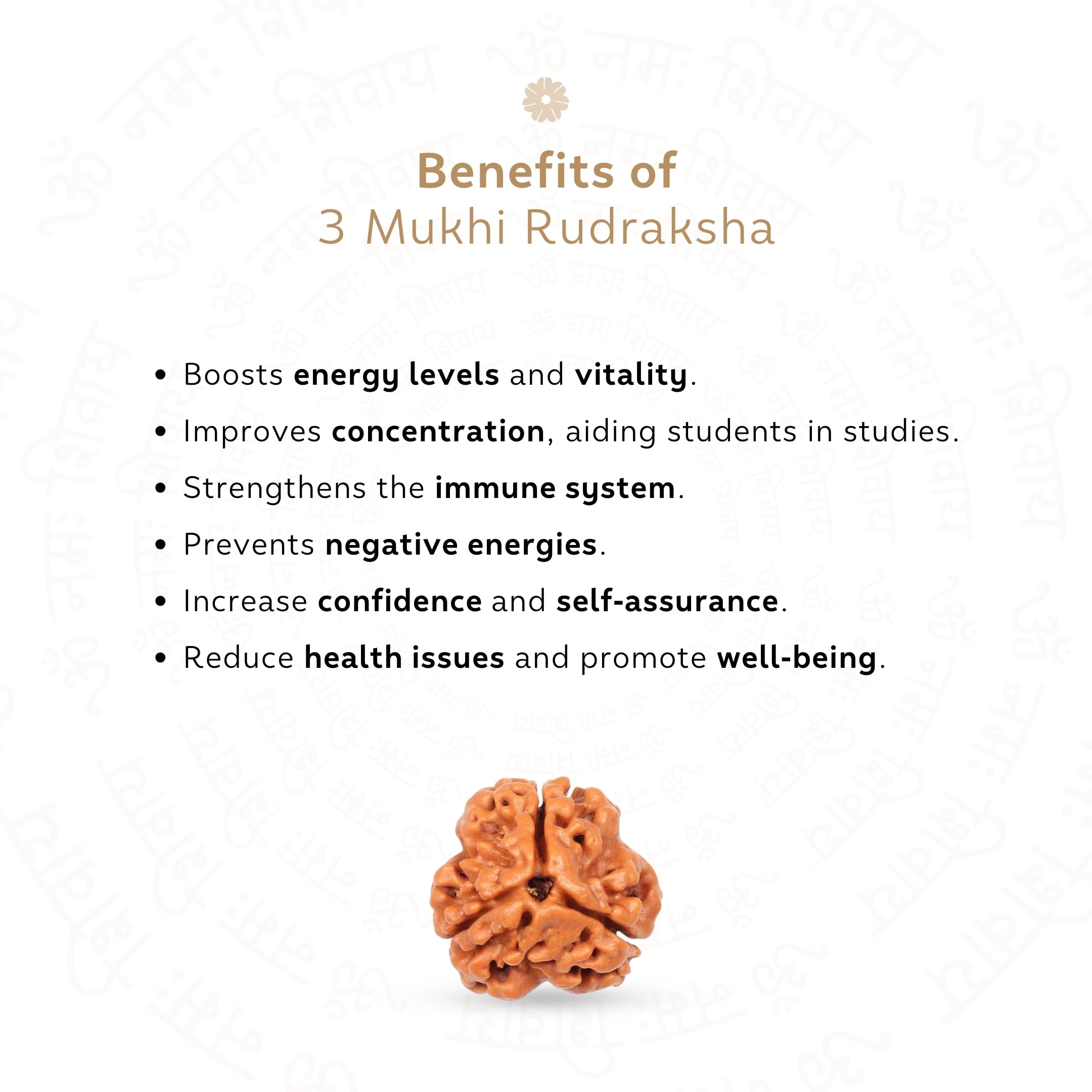 Benefits of 3 Mukhi Rudraksha
