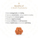 Benefits of 3 Mukhi Rudraksha