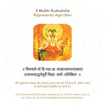 3 Mukhi Rudraksha Story