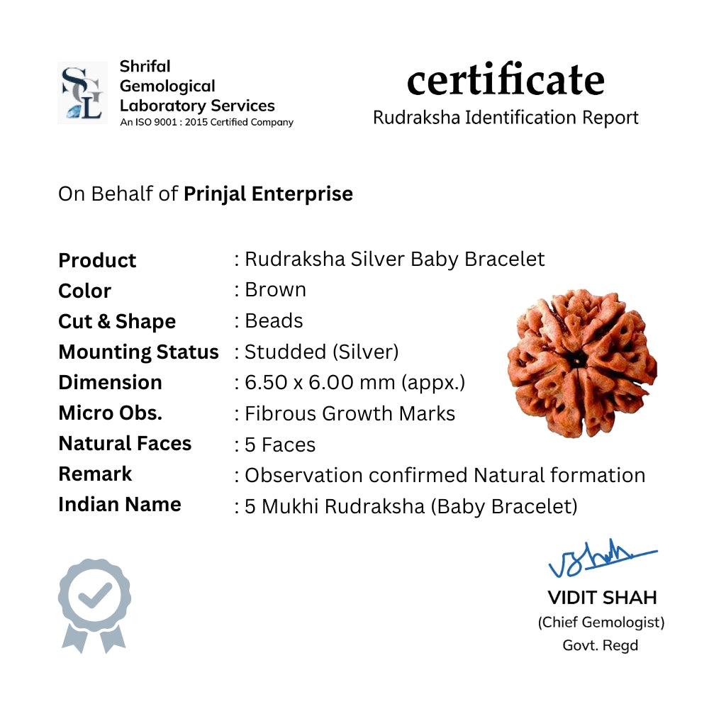 Rudraksha Silver Bracelet Single Line for Kids