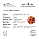 Rudraksha Silver with Trishul and Damru Chain with Pendant for Men